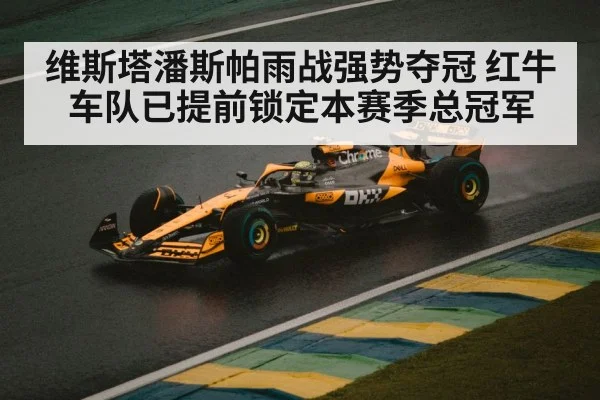 维斯塔潘斯帕雨战强势夺冠 红牛车队已提前锁定本赛季总冠军