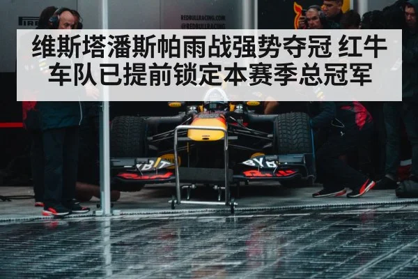 Red Bull pit stop strategy