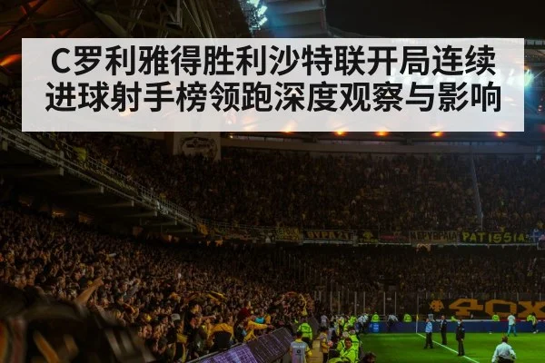 soccer stadium crowd night